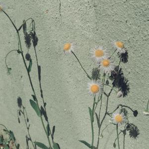 成人免费❌❌图片
