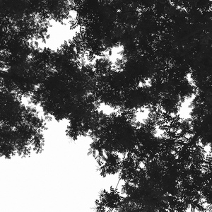 成人免费❌❌图片
